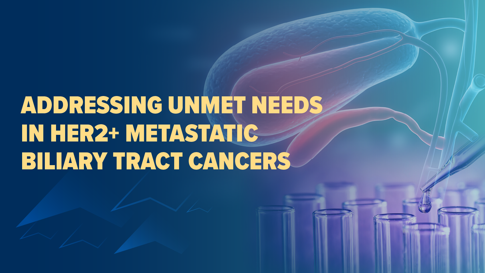 Addressing Unmet Needs in HER2+ Metastatic BTC