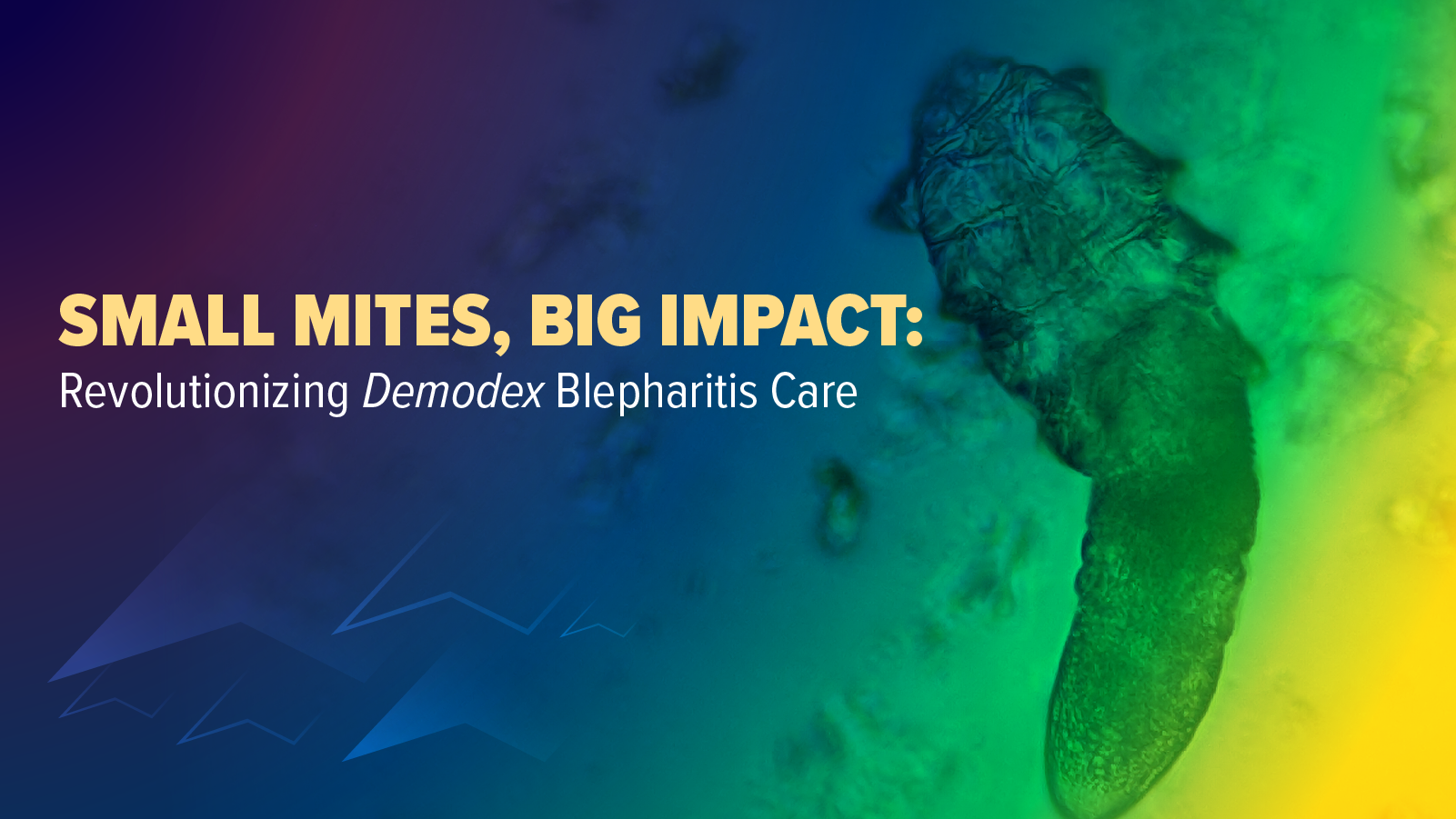 Small Mites, Big Impact: Revolutionizing Demodex Blepharitis Care