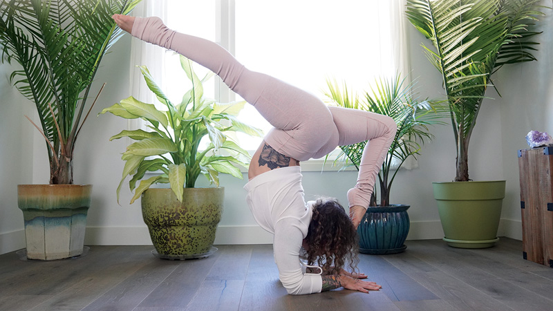 Focused Vinyasa Online Program With Irene Pappas