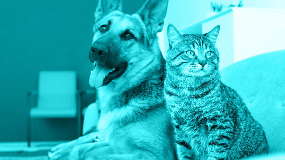 CKD: New and Old Management Options