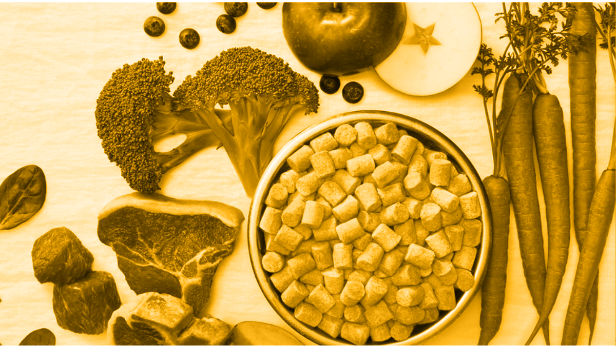 From Doubt to Data: Commercial Raw Diets