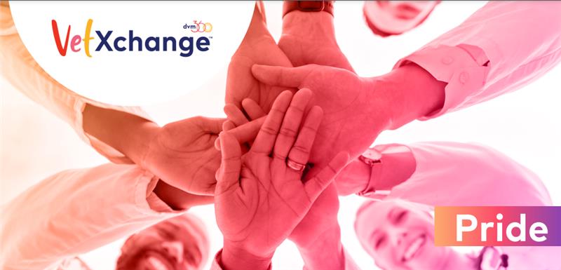 A Culturally Competent Care Conversation