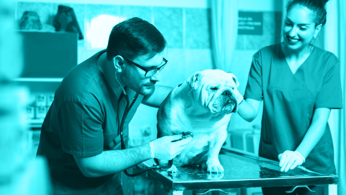 The Heart of the Matter: Managing complex congestive heart failure