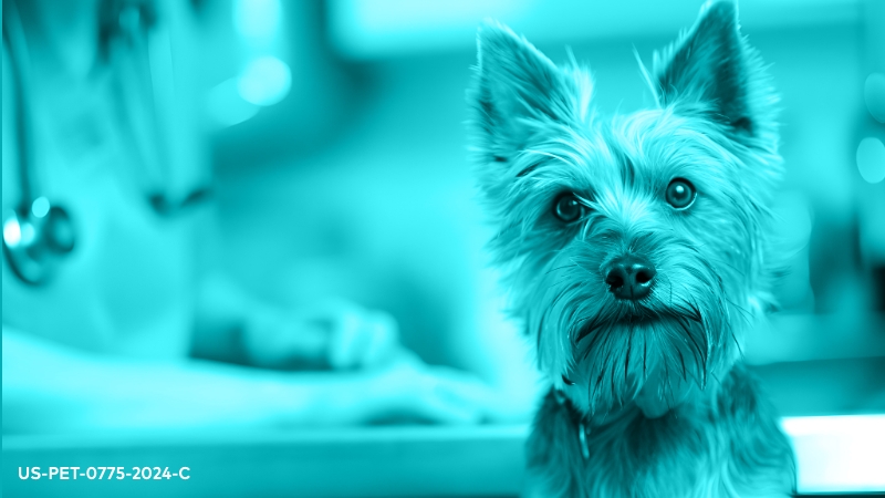 2024 AHS Canine Guidelines Update