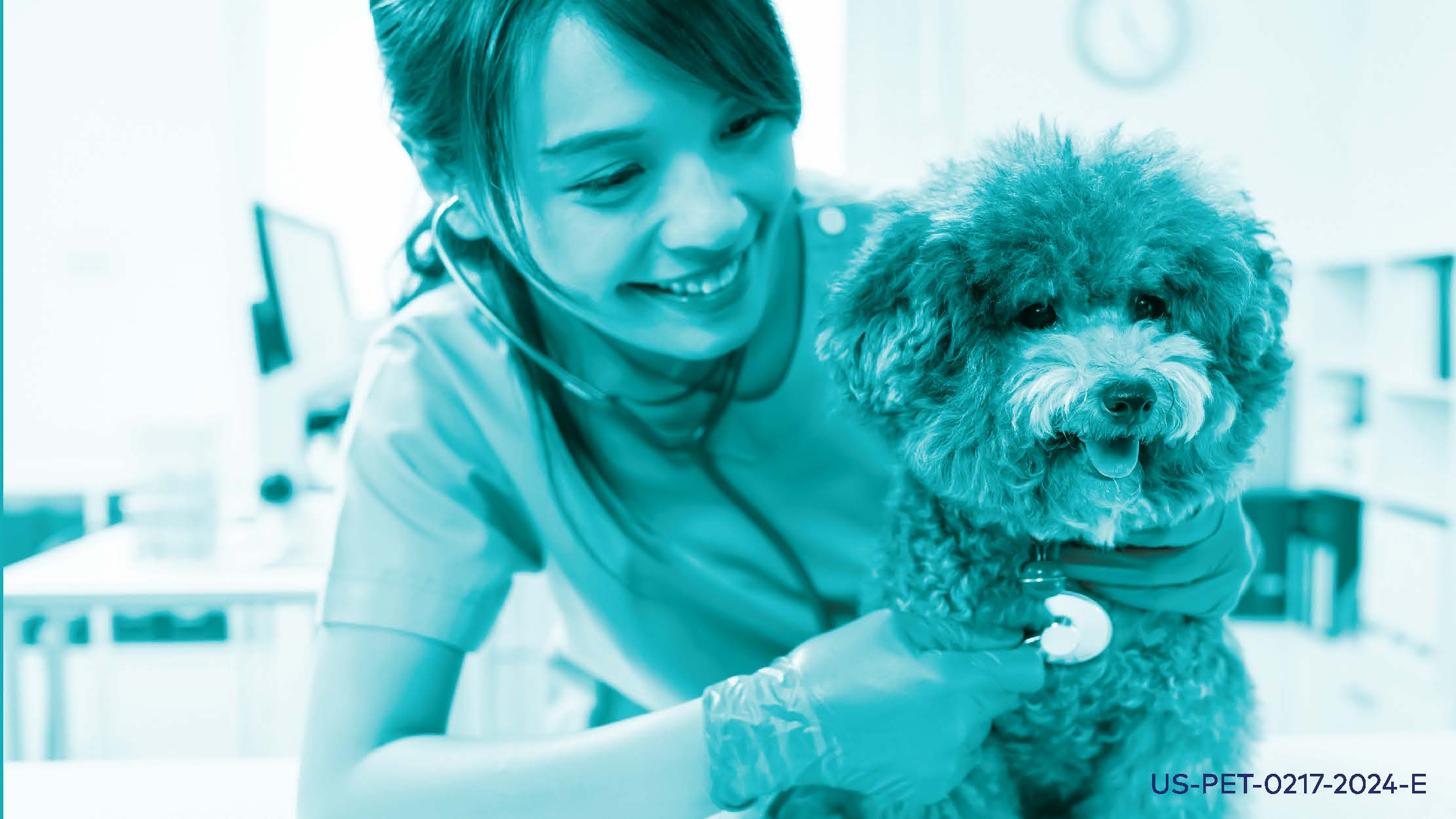 Mitral Valve Disease in Dogs: Supporting the Journey