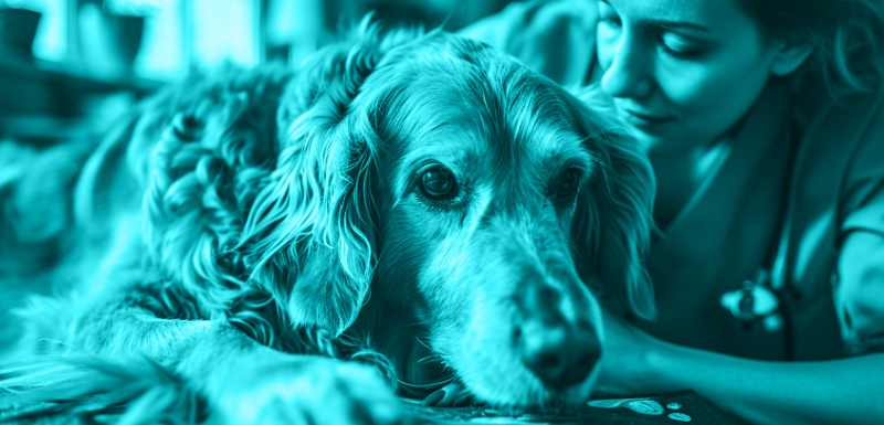 How to Optimize Skin Biopsy Results