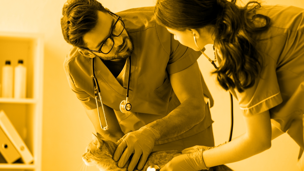 That’s not my job!: Practical solutions for workplace toxicity