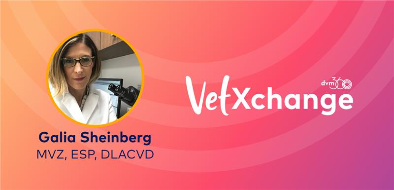 Let's Talk Smart Topical Therapy, Why Antibiotic Resistance Matters