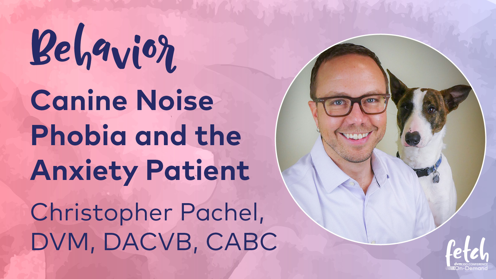 Canine Noise Phobia and the Anxiety Patient