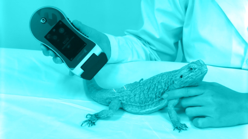 Photochemical Laser Therapies and Case Studies