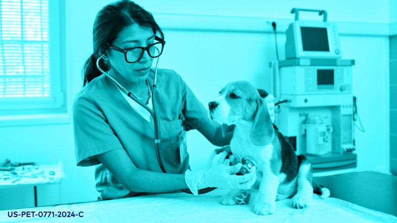 Effective Cardiac Auscultation: What are You Hearing?