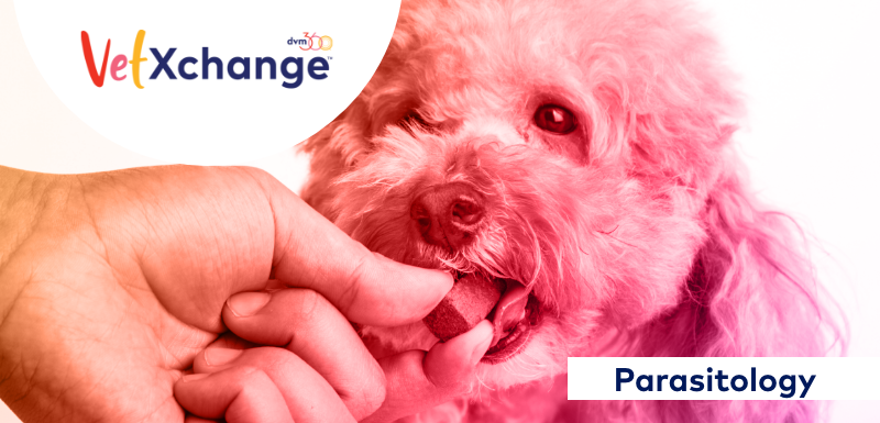 Updates on the Ever-Present and Evolving Risks of Heartworm Disease