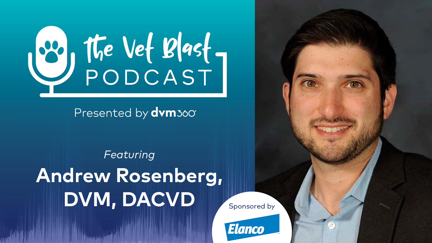 The Role of JAK Inhibitors in Treating Pruritus Associated with Allergic and Atopic Dermatitis in Canines
