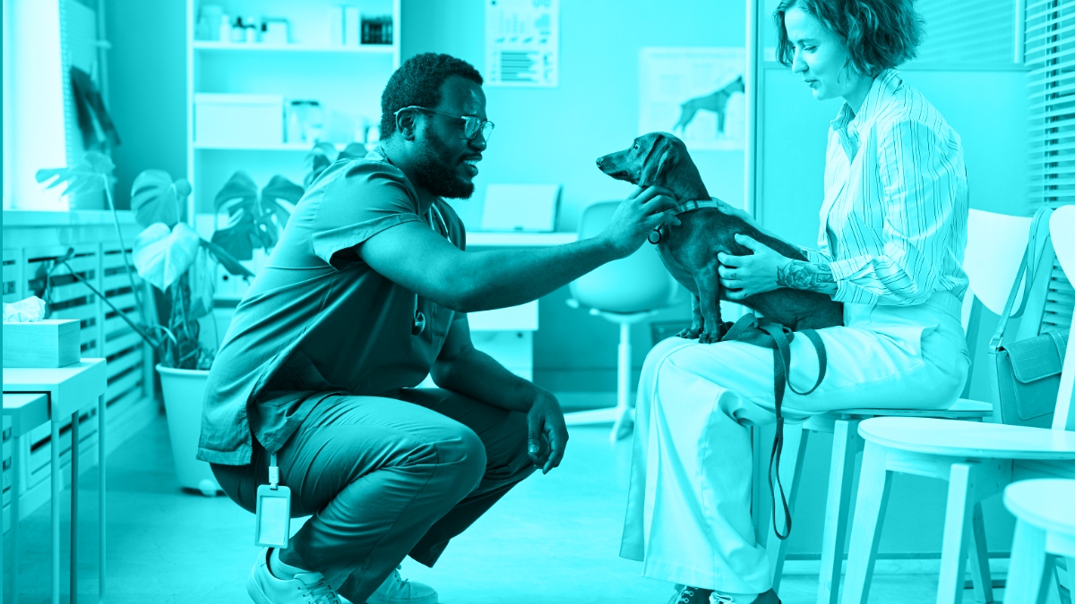 Creating a Calmer Clinic