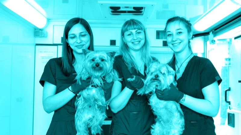 Maximize the Value of Your Multi-DVM Practice in Today's Selling Landscape