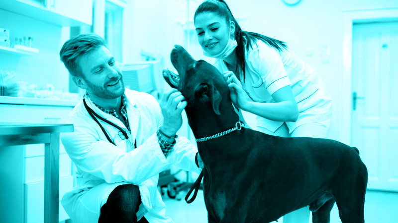 Why 2+DVM Practices Are at Risk Today: Myths Guide Many Decisions...Not FACTS!