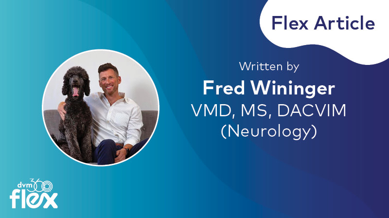 Tremors and Twitches in Cats and Dogs: Causation is Key