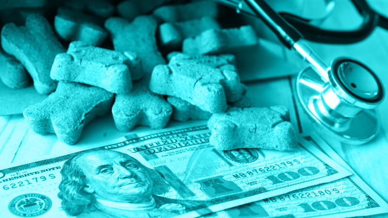 Compassionate Conversations: Navigating Financial Discussions in Veterinary Care