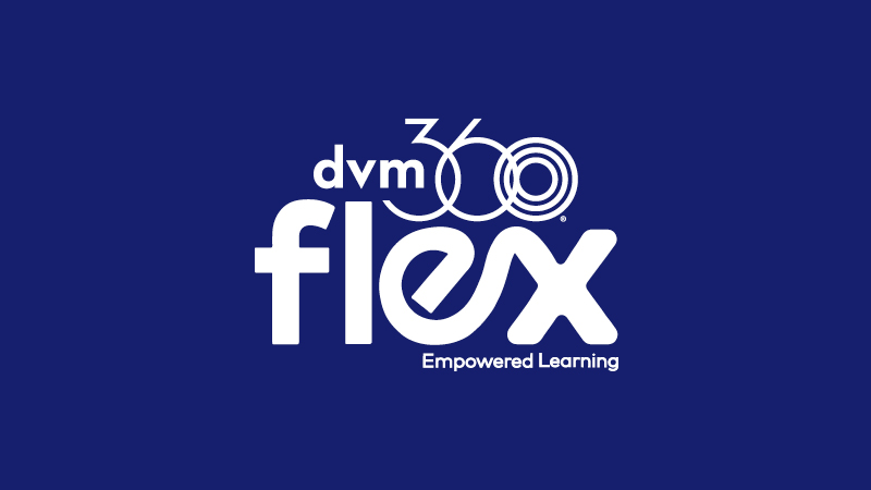 How the Regulatory Guidelines for Virtual Care are Evolving Post Pandemic