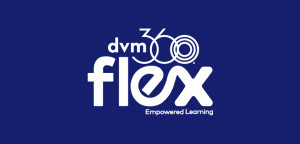 A Non-Binary Approach to Healthcare Delivery: A Continuum of Acceptable Options