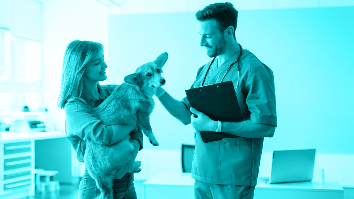 How to Use IRIS Kidney Guidelines in Practice