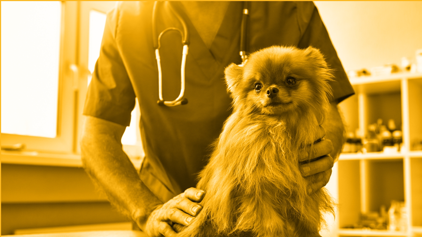 Flex Your Veterinary Skills: Mastering Joint Health with Flexadin