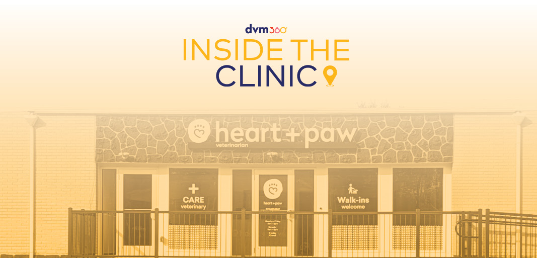 Tooth-gether  We Succeed: A Team-Centric Approach to Veterinary Dentistry 