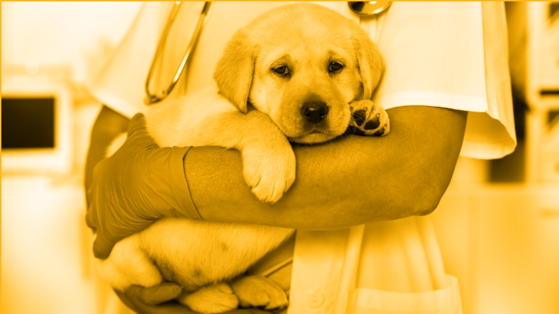 Changing Outcomes, Saving Lives