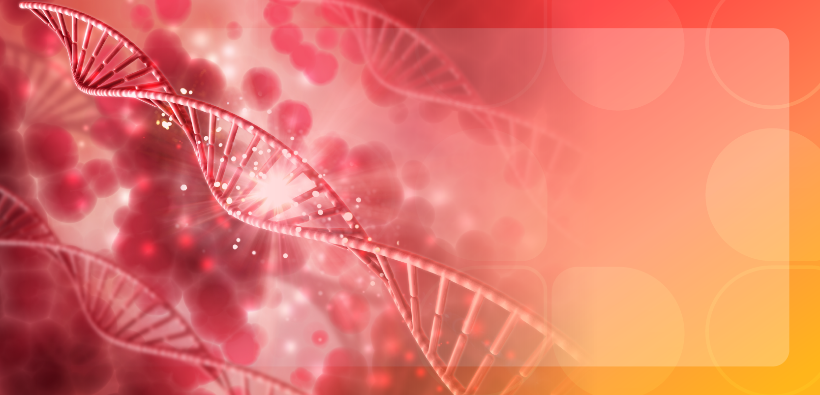 New Pathways in Care for Myelofibrosis: Optimizing Treatment to Improve ...