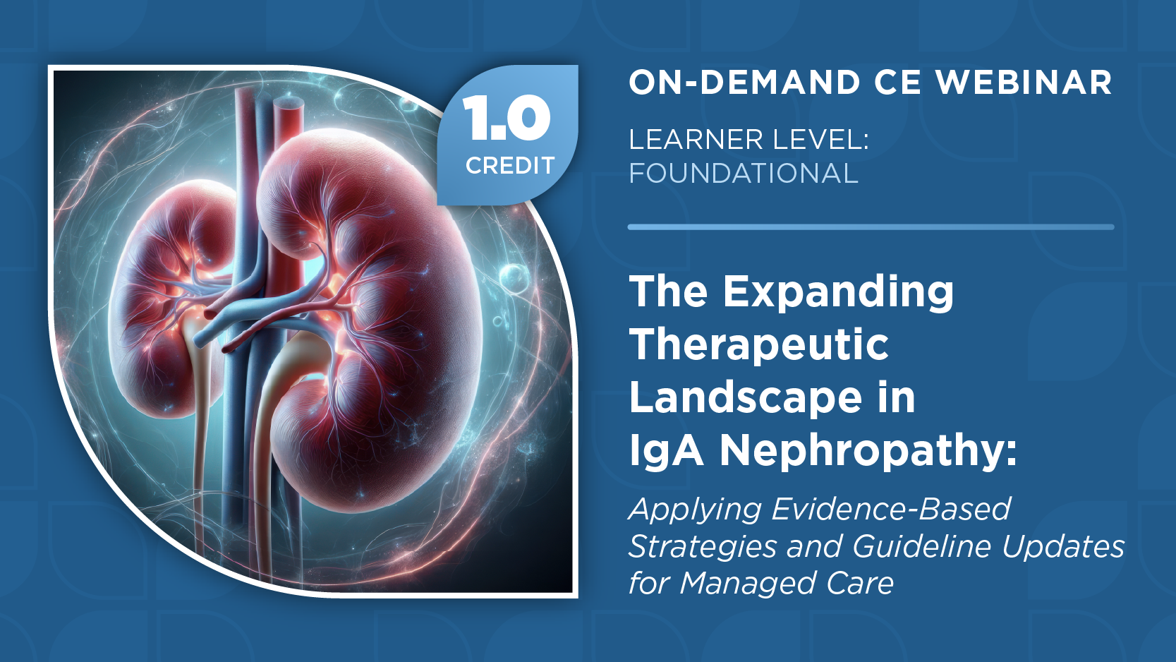 The Expanding Therapeutic Landscape in IgA Nephropathy: Applying Evidence-Based Strategies and Guideline Updates for Managed Care