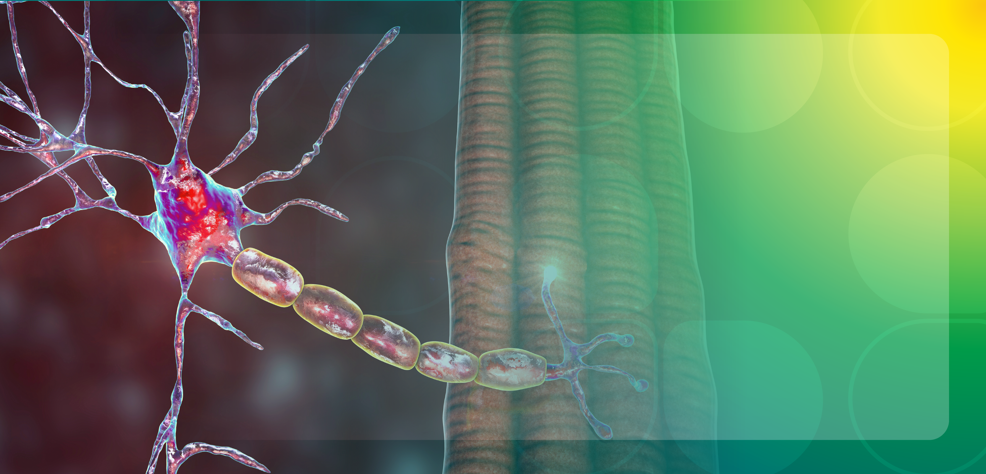 Exploring Innovative Approaches in Myasthenia Gravis and the Specialty Pharmacist’s Role in Optimizing Value-Based Treatment 