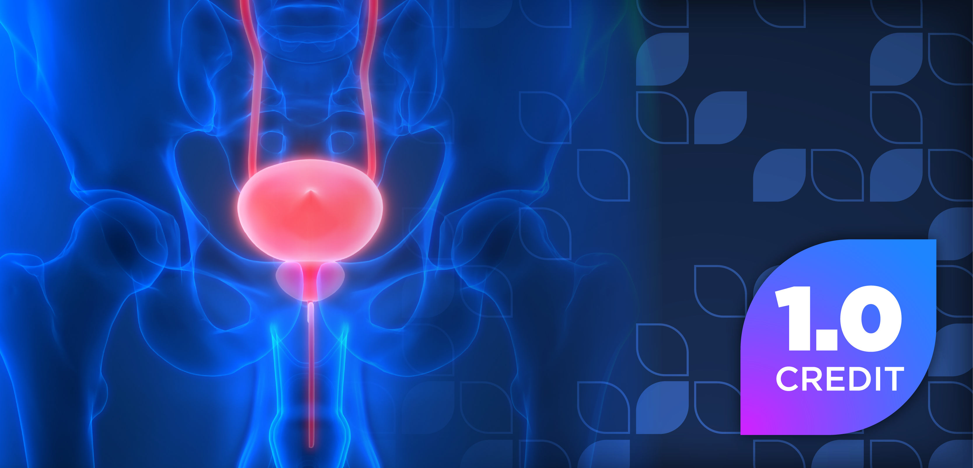 Advances in Castration-Sensitive Prostate Cancer: A Pharmacist’s Approach to Optimize Novel Antiandrogen Therapies