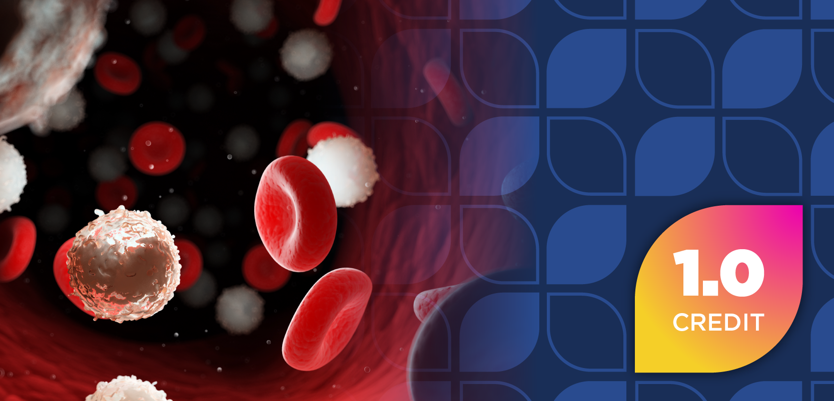 SimulatEd™: Patient-Centered Care to Improve Outcomes in Chronic Lymphocytic Leukemia