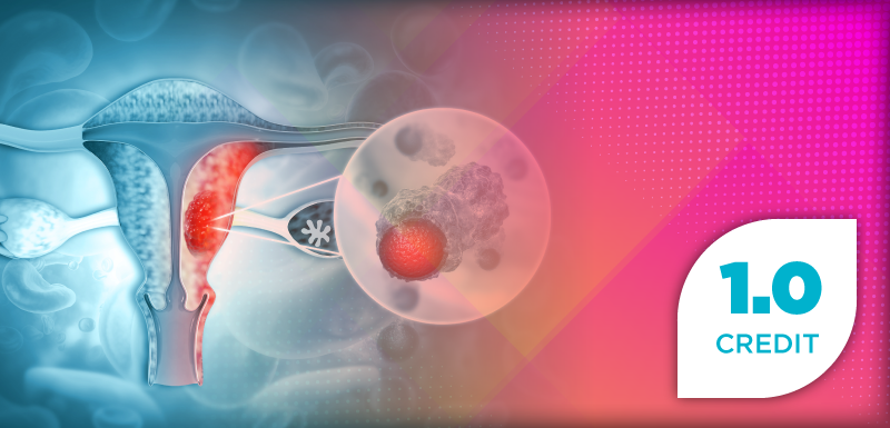 Enhancing Endometrial Cancer Management: Highlights of Molecular Insights, Treatment Approaches, and Toxicity Management