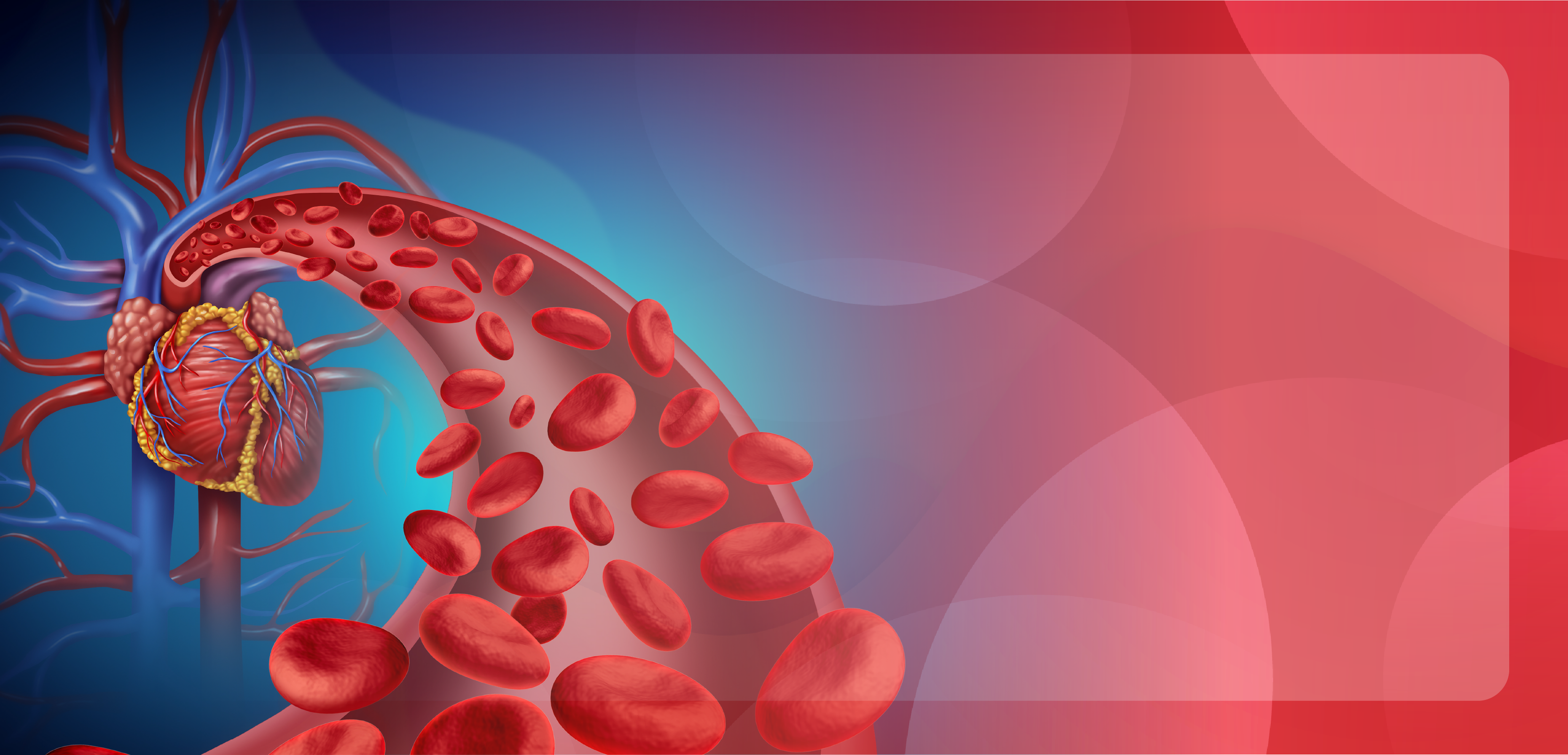The Expanding Role of Nonstatin Therapies in Reducing LDL-Cholesterol Levels to Prevent and Manage ASCVD: A Review of Recent ACC Recommendations