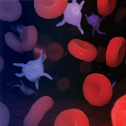 Management of Immune Thrombocytopenia: Examining New Therapies and Advancements in Treatments, Featuring a Patient Perspective