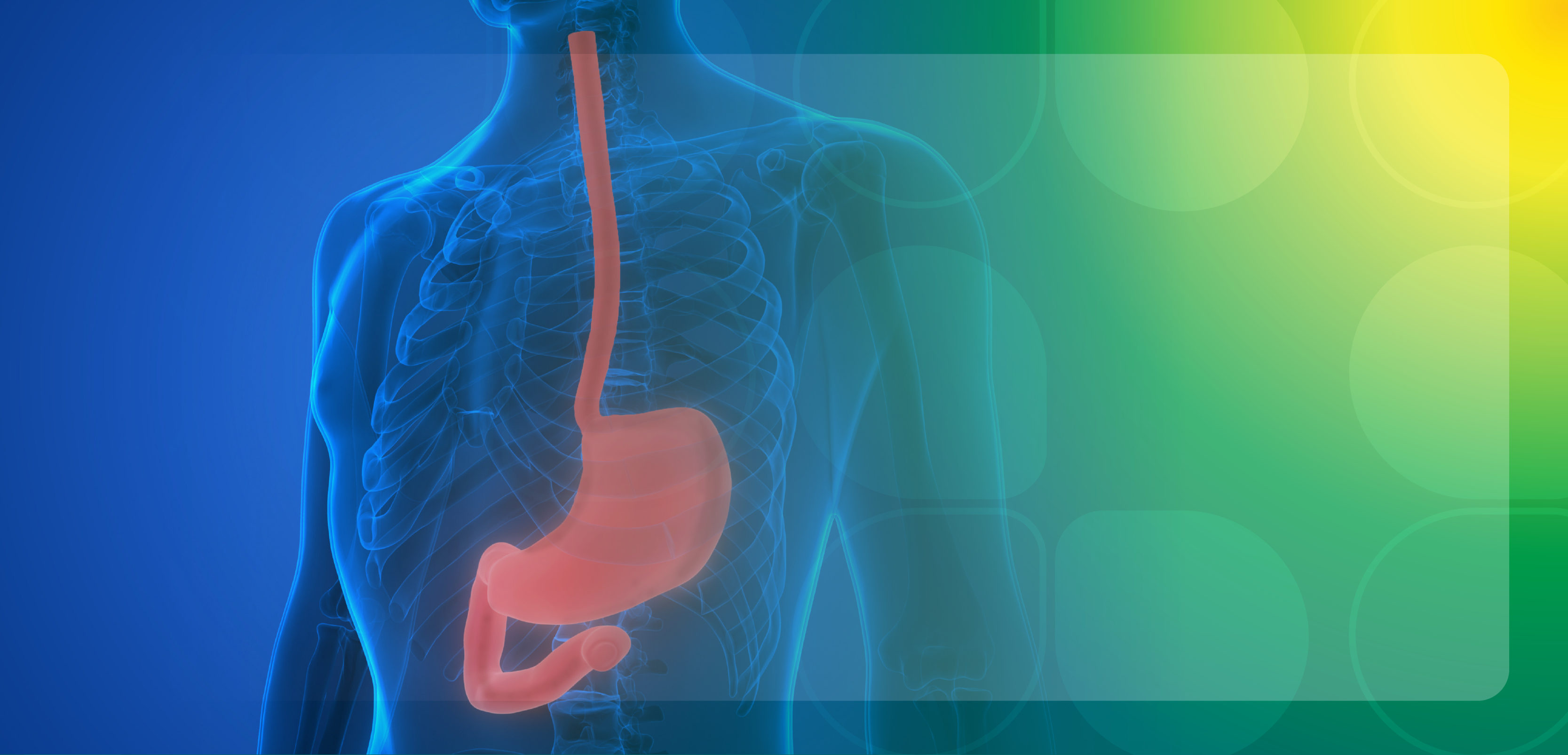 Navigating Next-Generation Therapies for the Management of Acid-Related Disorders