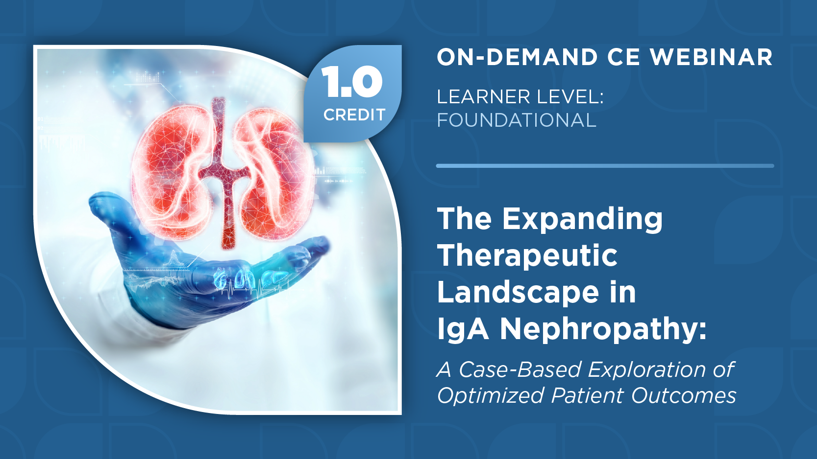 The Expanding Therapeutic Landscape in IgA Nephropathy: A Case-Based Exploration of Optimized Patient Outcomes