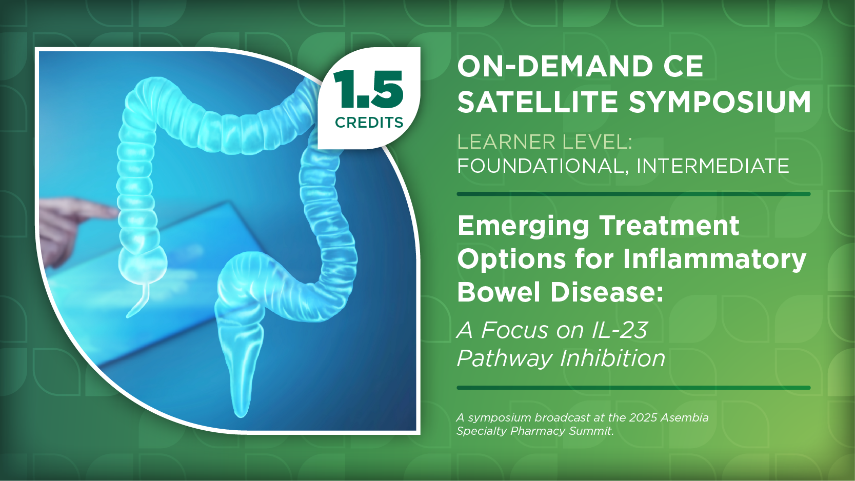 Emerging Treatment Options for Inflammatory Bowel Disease: A Focus on IL-23 Pathway Inhibition