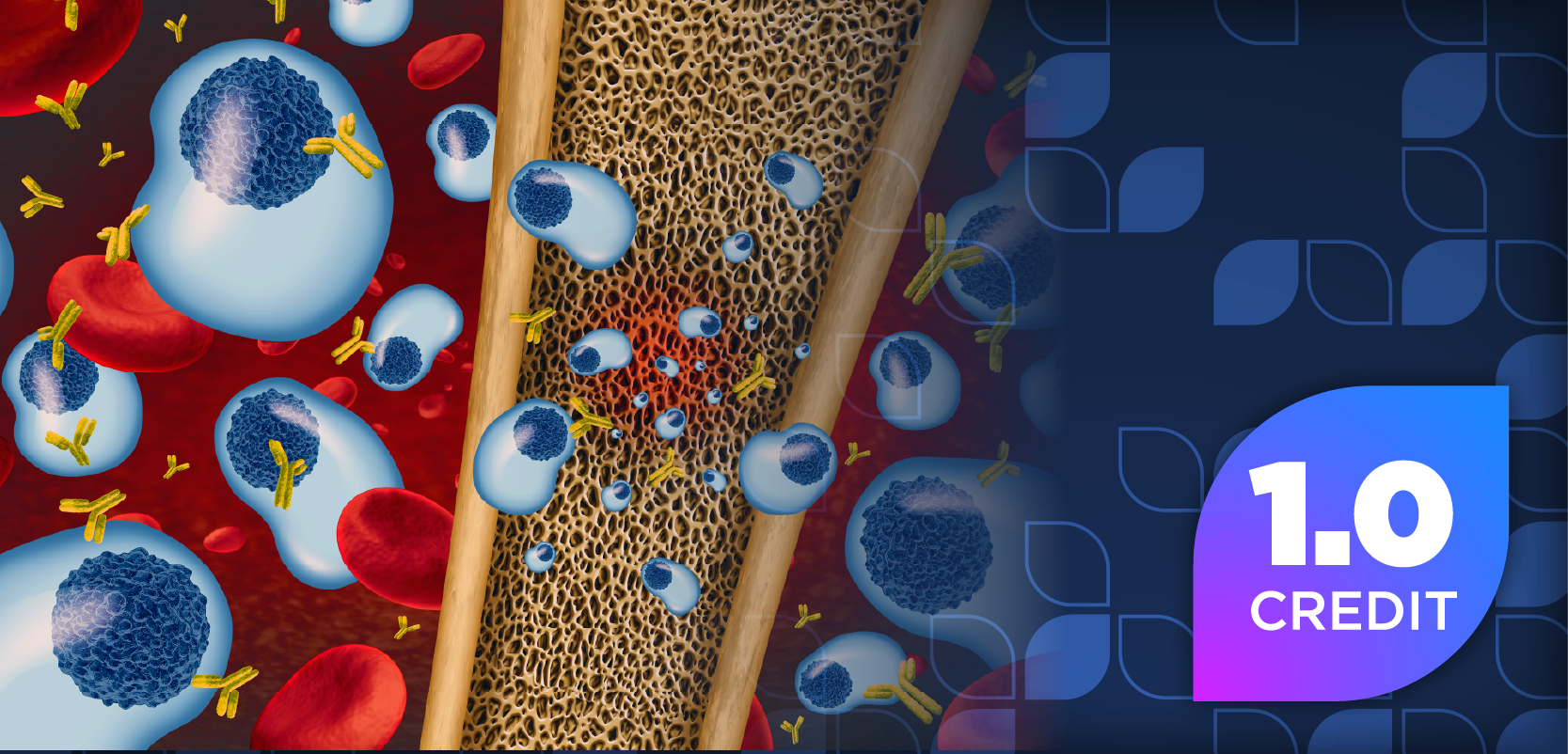 Personalizing Treatment in Relapsed/Refractory Multiple Myeloma: The Evolving Role of Antibody-Drug Conjugates and Bispecific Antibodies