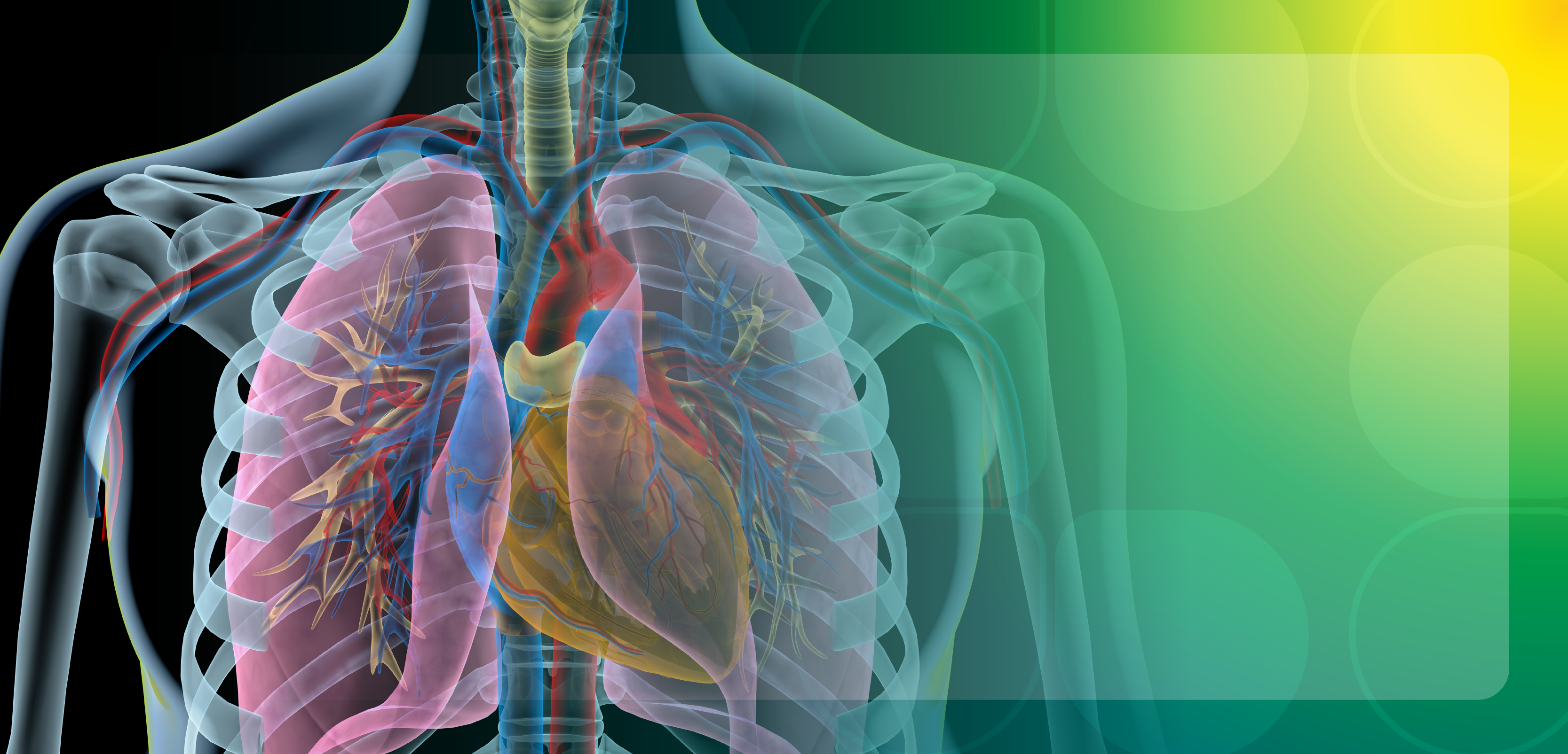 The Evolving Treatment Paradigm for the Management of Pulmonary Arterial Hypertension: Strategies to Optimize Care