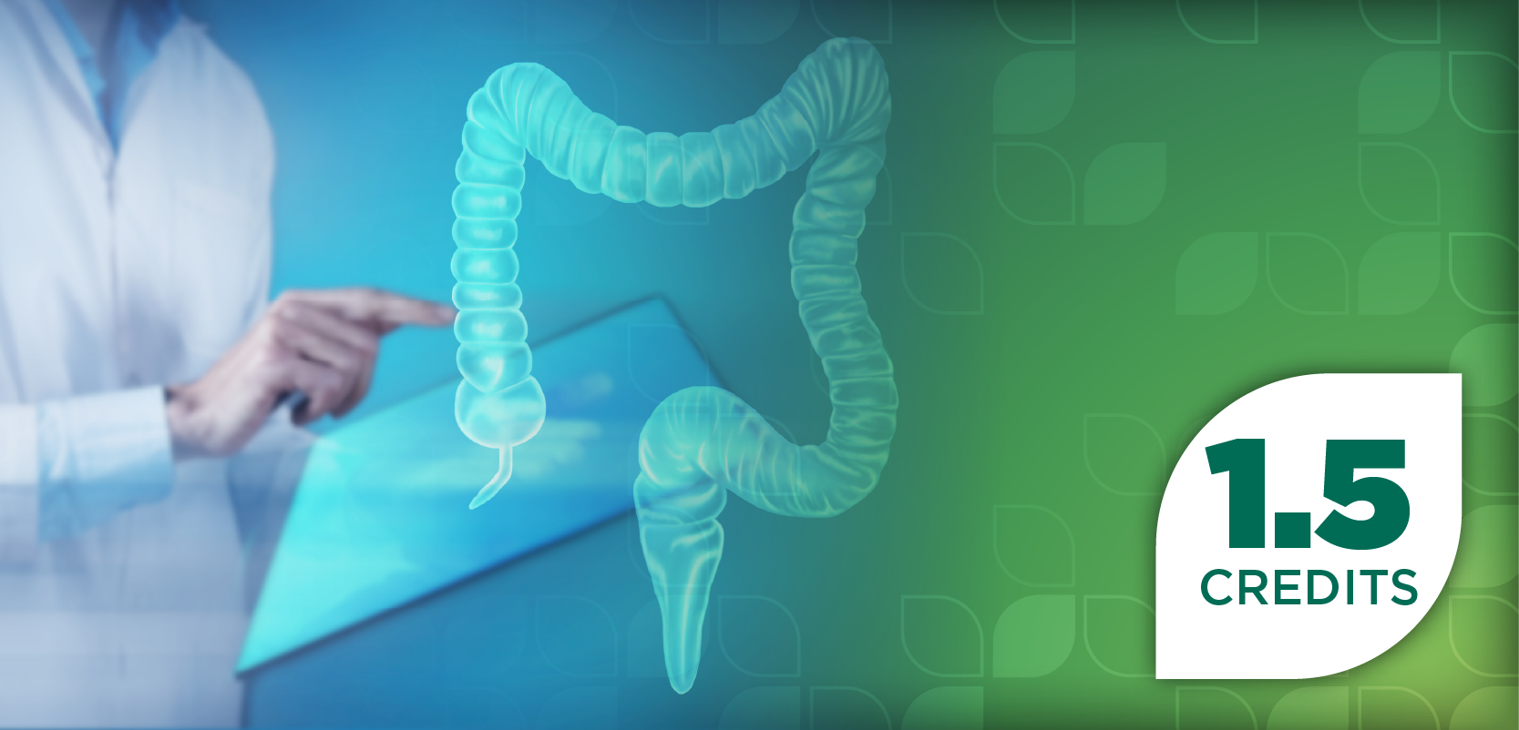 Emerging Treatment Options for Inflammatory Bowel Disease: A Focus on IL-23 Pathway Inhibition