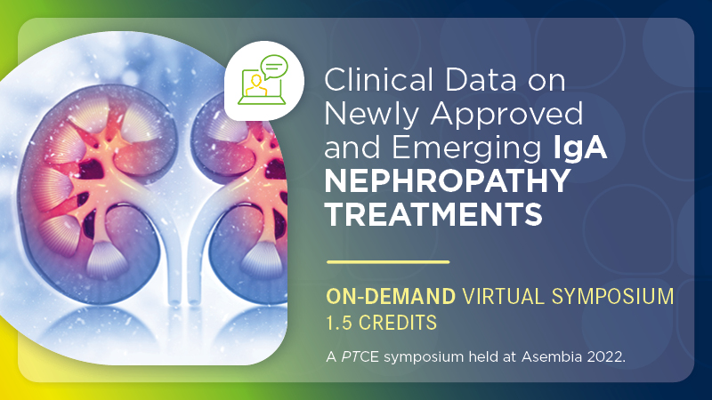 Clinical Data on Newly Approved and Emerging IgA Nephropathy Treatments