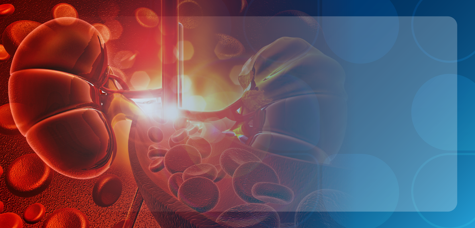 Exploring the Burden of Disease and Health Care Disparities in Anemia ...