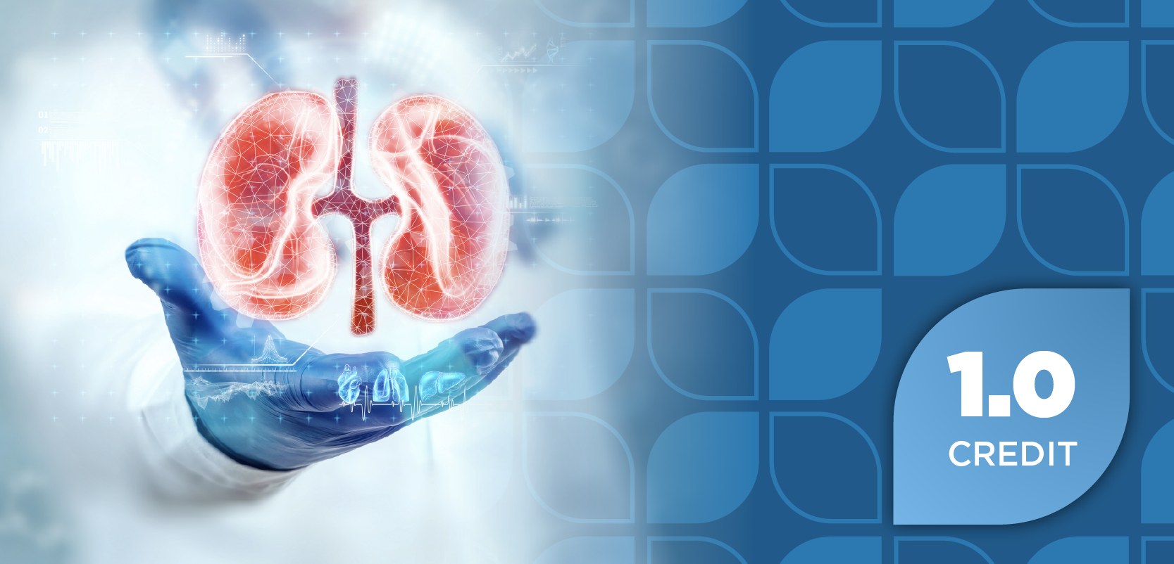 The Expanding Therapeutic Landscape in IgA Nephropathy: A Case-Based Exploration of Optimized Patient Outcomes